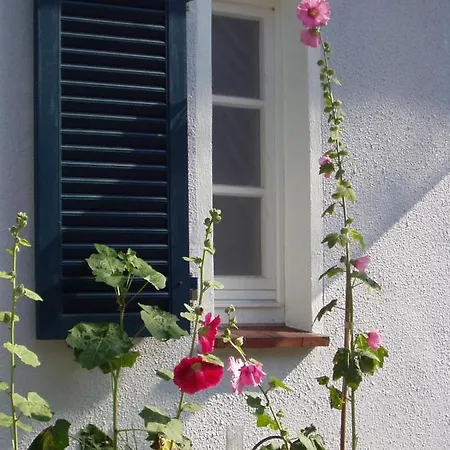 Ferienhaus Sonnenrein Apartment *